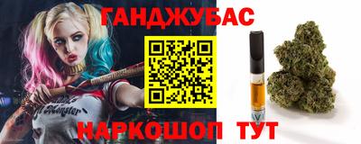 индика Ярославль