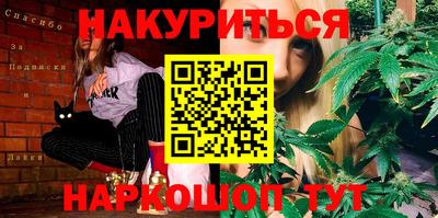 индика Ярославль