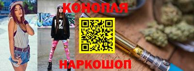 индика Ярославль