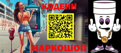 индика Ярославль