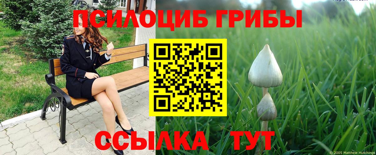 Галлюциногенные грибы Psilocybine cubensis  Вход с VPN  Майский 