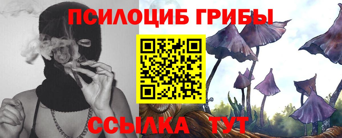 Галлюциногенные грибы Psilocybine cubensis Майский